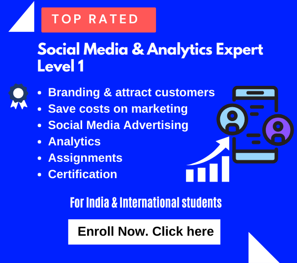 Social Media Analytics Expert Level 1