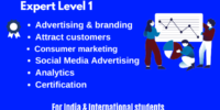 Advanced Sales & Marketing Expert Level 1