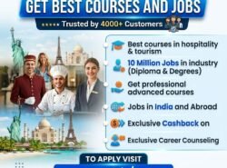 Best courses & jobs After BA, B.Com, B.Sc, BCA & BBA